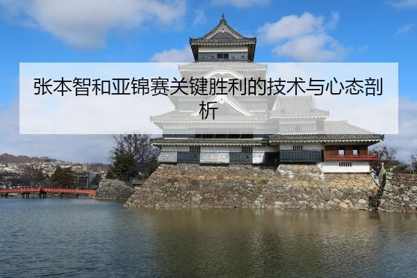 张本智和亚锦赛关键胜利的技术与心态剖析